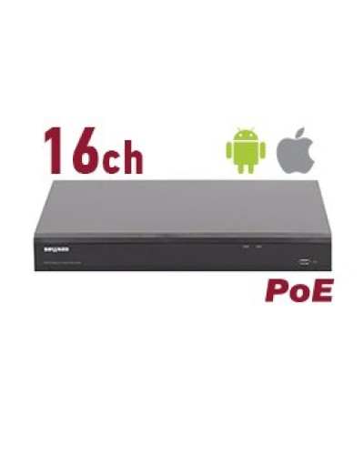 RK2216-P. Видеорегистратор IP 16-канальный. Beward в Саратове