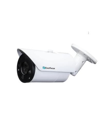 EZN-268V. Видеокамера IP купольная. EverFocus в Саратове