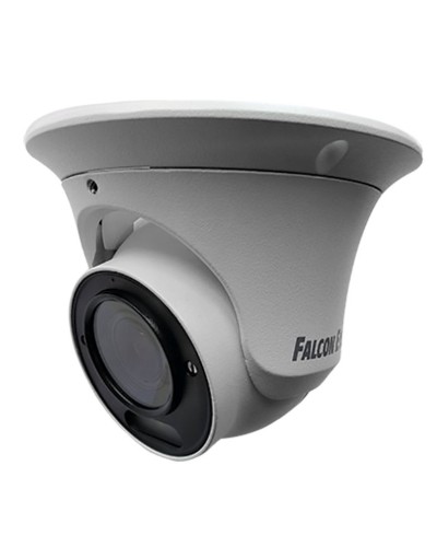 FE-IPC-DV5-40pa. Видеокамера IP купольная. Falcon EYE в Саратове