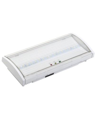 Светильник аварийный ДПА 5040-1 1ч IP54 LIGHTING (LDPA0-5040-1H-K01). Светильник аварийный постоянного действия. IEK в Саратове