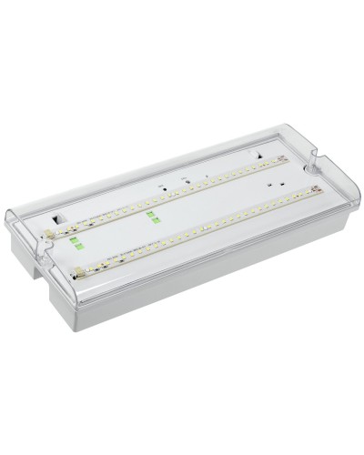 Светильник аварийный ДПА 5042-1 1ч IP65 LIGHTING (LDPA0-5042-1-65-K01). Светильник аварийный универсальный. IEK в Саратове