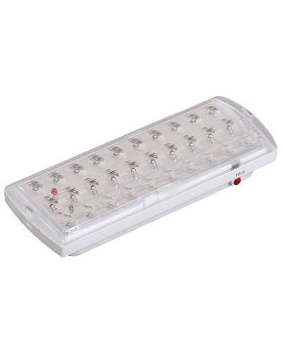 Светильник аварийный ДПА 2101 4ч IP20 LIGHTING (LDPA0-2101-30-K01). Светильник аварийный непостоянного действия. IEK в Саратове