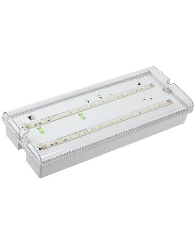 Светильник аварийный ДПА 5042-3 3ч IP65 LIGHTING (LDPA0-5042-3-65-K01). Светильник аварийный универсальный. IEK в Саратове