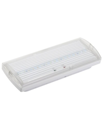 Светильник аварийный ДПА 5030-3 3ч IP20 LIGHTING (LDPA0-5030-3H-K01). Светильник аварийный постоянного действия. IEK в Саратове