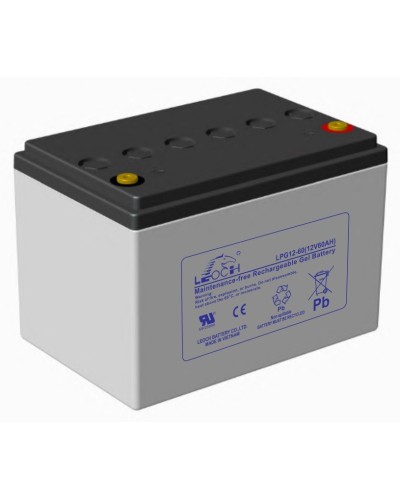 LEOCH LPG 12-60. Аккумулятор герметичный свинцово-кислотный. LEOCH в Саратове