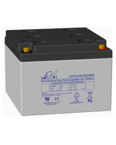 LEOCH LPG 12-24. Аккумулятор герметичный свинцово-кислотный. LEOCH в Саратове