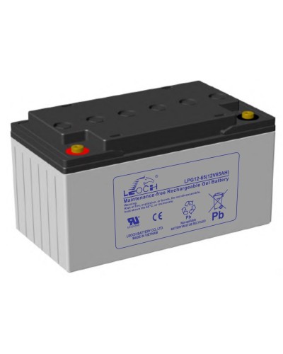 LEOCH LPG 12-65. Аккумулятор герметичный свинцово-кислотный. LEOCH в Саратове