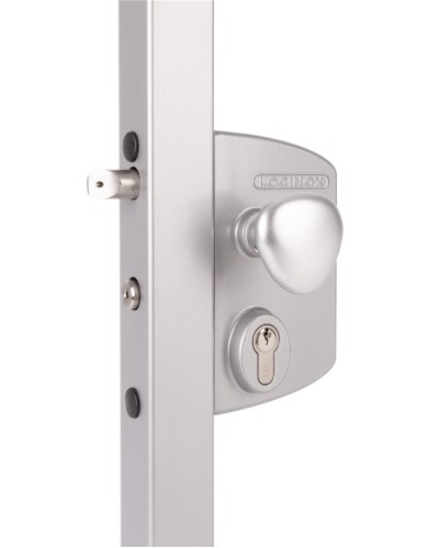 LIKQ4040 U2L (цвет: RAL 9005, черный). Замок электромеханический для калиток. Locinox в Саратове