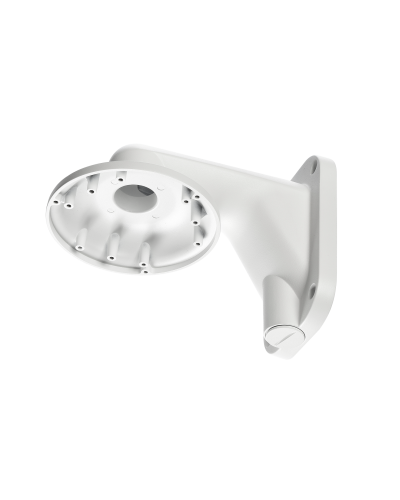 RVi-1BWM-5 white. Кронштейн настенный. RVi в Саратове