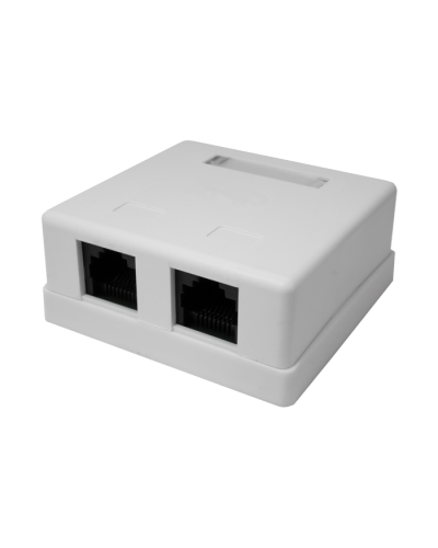 Розетка настенная RJ-45, 8P8C, Cat.5e, 2 порта UTP (10-0309): Компьютерная розетка в Саратове