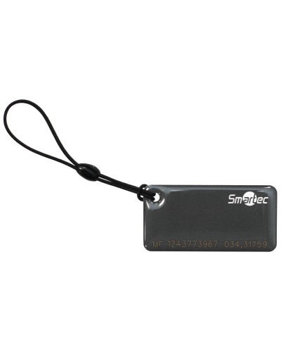 ST-PT015MF-GR. Брелок. Smartec в Саратове