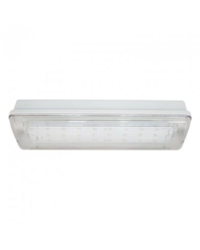 SL-223-30LED1.8 исп. 1, IP65. Светильник аварийного освещения. ИП Раченков А.В. в Саратове