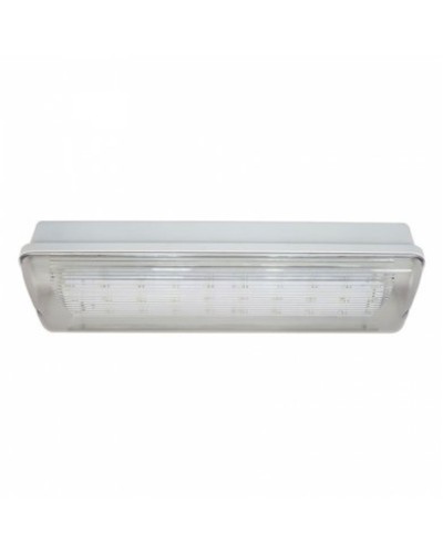 SL-213-30LED1.8 исп.1 IP54. Светильник аварийного освещения. ИП Раченков А.В. в Саратове