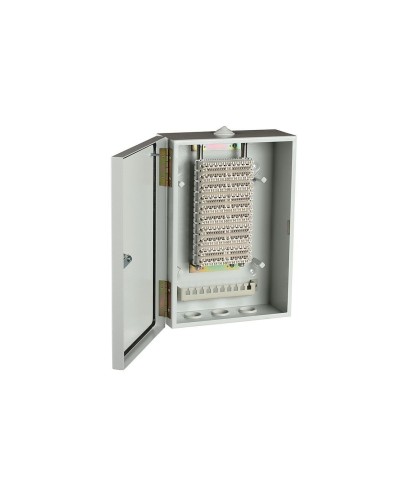 ШРН-В/100-Р (120908-00122). Шкаф ШРН-В/100-Р, плинт ПВТ-10Р-5е. ССД (Связьстройдеталь) в Саратове
