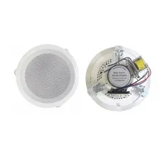 ACS-10. Громкоговоритель потолочный. Alerto