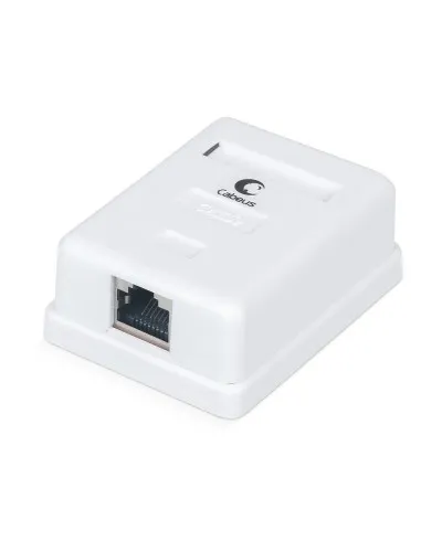 WS-8P8C-Cat.5e-SH-1 (7485c): Розетка RJ-45 в Саратове