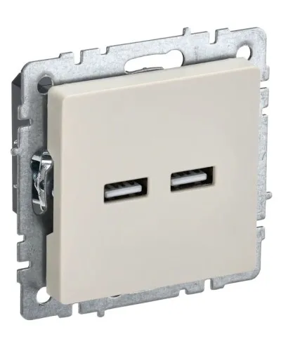 Розетка USB A+A 3,1А РЮ10-1-БрКр бежевый BRITE (BR-U21-D31-K10). Розетка USB. IEK в Саратове