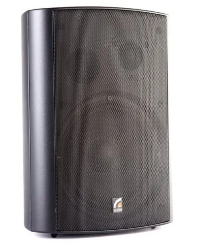 MS-80TB (ROXTON). Звуковая настенная колонка. ROXTON в Саратове