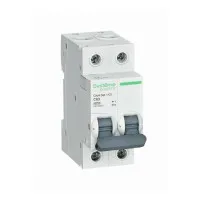 City9 Set 2P 63А 4.5kA С (C9F34263). Автоматический выключатель. Systeme Electric
