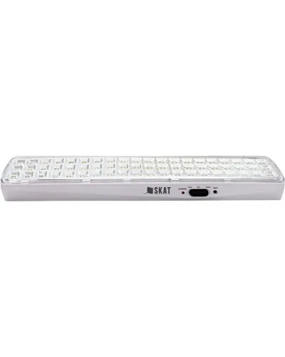 SKAT LT-602400 LED Li-ion (2459). Светильник аварийного освещения. Бастион в Саратове