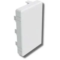 Заглушка 120х80 LAN (00878): Заглушка для короба