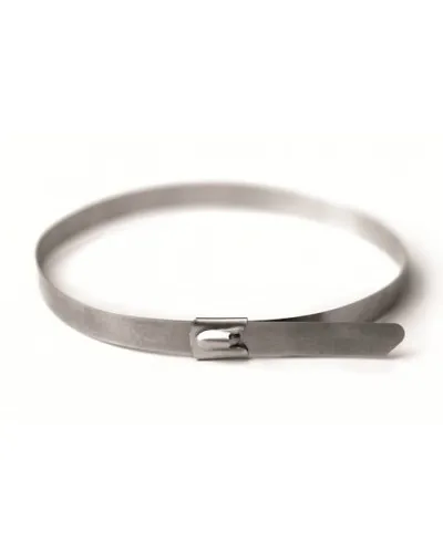 Хомут из нержавеющей стали AISI 316 8х500 (30 шт) (27615): Хомут из нержавеющей стали в Саратове