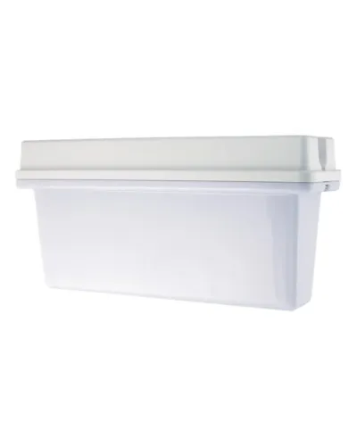 SL-223-30LED1.8 исп.2 IP65. Светильник аварийного освещения. ИП Раченков А.В. в Саратове