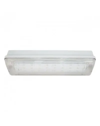 SL-223-30LED1.8 исп. 1, IP65. Светильник аварийного освещения. ИП Раченков А.В. в Саратове