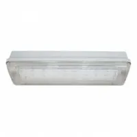 SL-213-30LED1.8 исп. 1 IP65. Светильник аварийного освещения. ИП Раченков А.В.