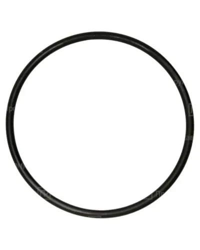 Кольцо резиновое уплотнительное для двустенной трубы D50 (PR08.3156). Кольцо резиновое уплотнительное для двустенной трубы. Промрукав в Саратове